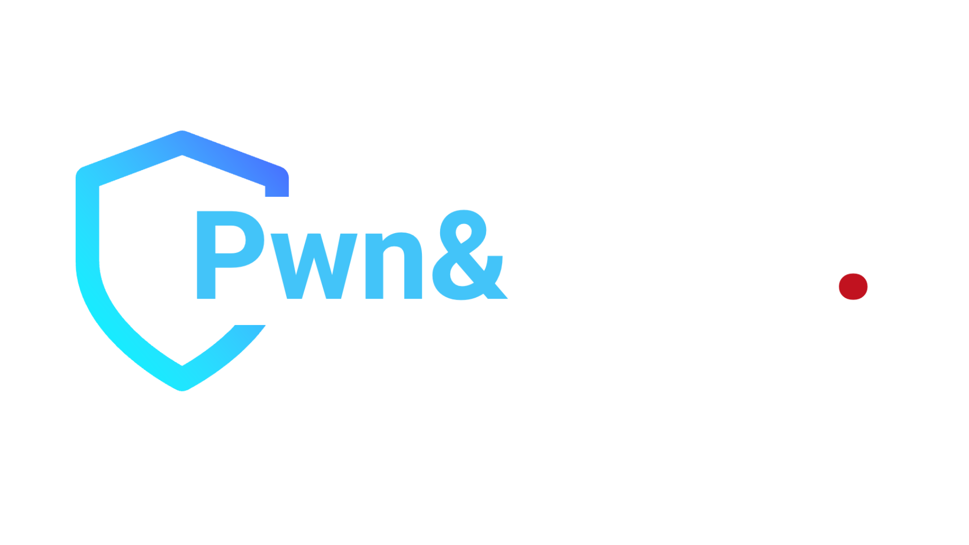 Pwn & Patch